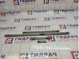 Молдинг крыши левый Hyundai Santa Fe (SM)