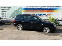 Hyundai Santa Fe (SM)