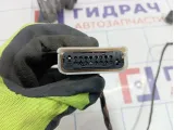 Проводка двери задней правой SEAT Leon (1P) 1P1971161C