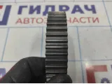 Шестерня (шкив) распредвала SEAT Leon (1P) 06A109105C