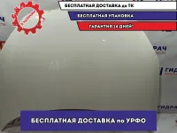 Капот Skoda Fabia 5J0823031B. Мелкие сколы.