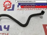 Шланг топливный к рампе Skoda Fabia 03E133723H.