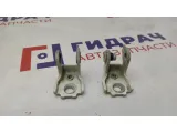 Петли двери задней правой Skoda Fabia .