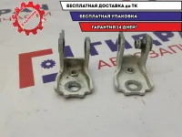 Петли двери задней левой Skoda Fabia .