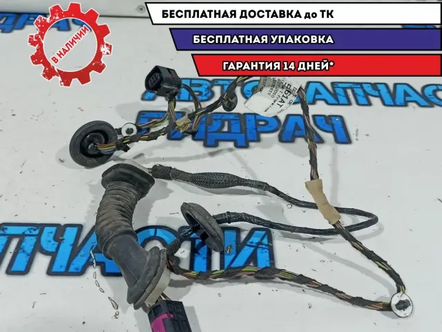 Проводка двери задней правой Skoda Fabia 2 5J6971161AS.