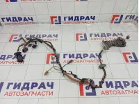 Проводка двери передней левой Skoda Octavia 1Z0971120GF