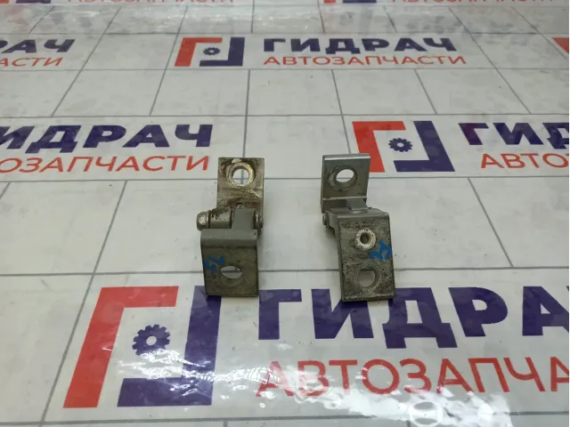 Петли двери передней левой Skoda Octavia