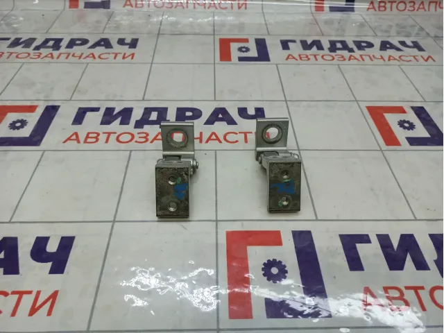 Петли двери задней левой Skoda Octavia