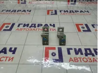 Петли двери задней правой Skoda Octavia