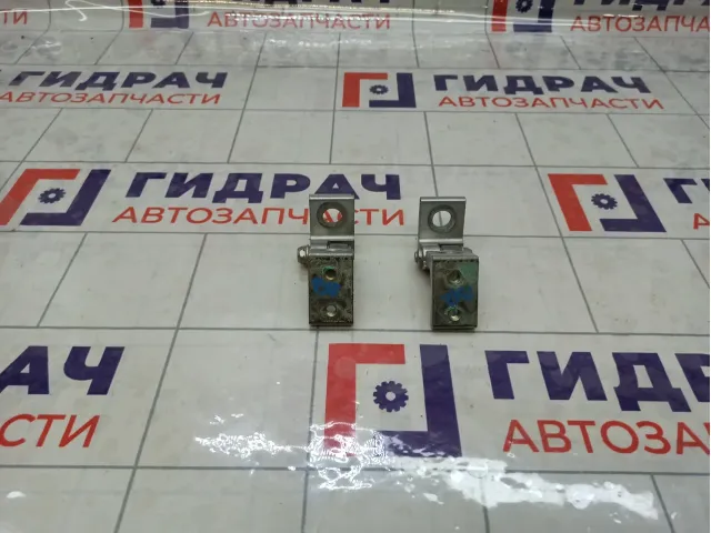 Петли двери задней правой Skoda Octavia