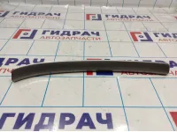 Накладка декоративная Skoda Octavia (A5) 1Z1858418.