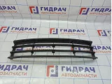 Решетка в бампер центральная Skoda Octavia (A5) 1Z0853677C.