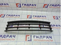 Решетка в бампер центральная Skoda Octavia (A5) 1Z0853677C.