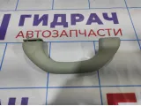 Ручка внутренняя потолочная Skoda Octavia (A5) 6Y0857607MY20. Передняя.