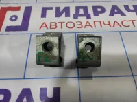 Петли двери передней левой Skoda Octavia (A5) . Комплект.