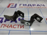 Петли двери передней правой Skoda Octavia (A5) . Комплект.