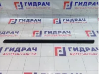 Уплотнитель стекла двери передний левый Skoda Octavia (A7) 5E0837479