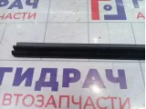 Уплотнитель стекла двери задний левый Skoda Octavia (A7) 5E5839479