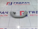 Ручка потолочная задняя Skoda Octavia (A7) 561857607C