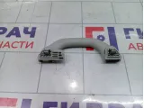 Ручка потолочная задняя Skoda Octavia (A7) 561857607C