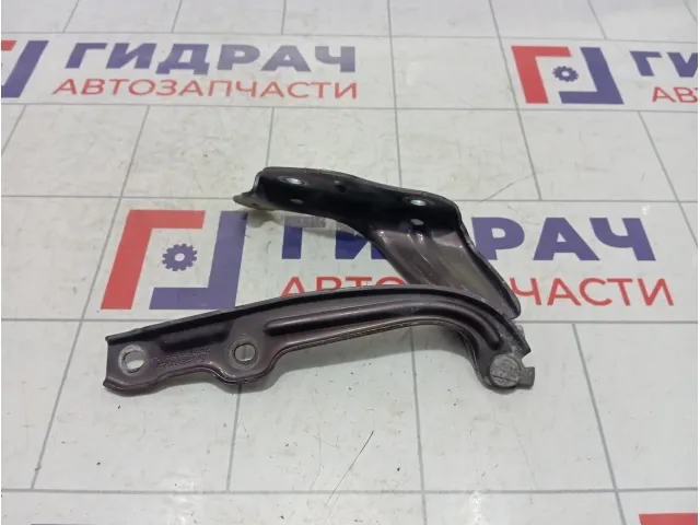 Петля капота левая Skoda Octavia (A7) 5E0823301