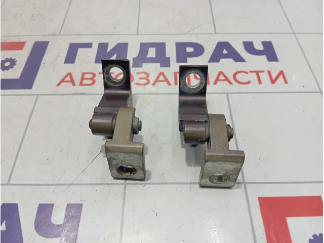 Петли двери задней левой Skoda Octavia (A7)