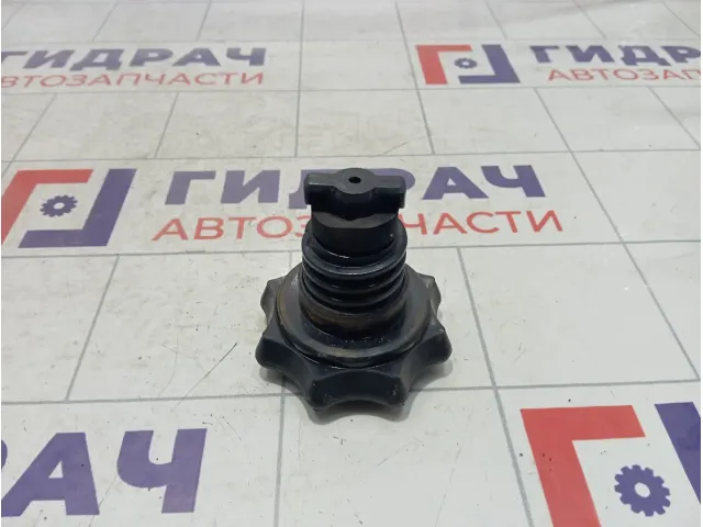 Крепление (болт) запасного колеса Skoda Octavia (A7) 5G0803899A