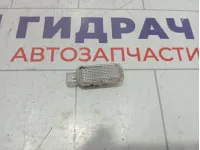 Плафон багажника Skoda Octavia (A7) 3B0947415B