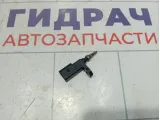 Датчик температуры охлаждающей жидкости Skoda Octavia (A7) 03F919501B