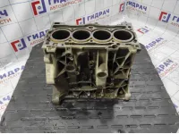 Блок двигателя Skoda Octavia (A7) 04E103023