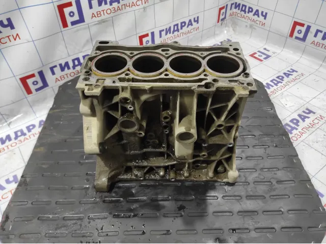 Блок двигателя Skoda Octavia (A7) 04E103023