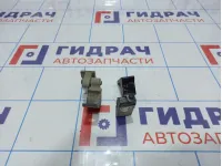 Петли двери передней левой Skoda Octavia (A7)