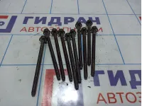 Болты ГБЦ Skoda Octavia (A7) WHT004926