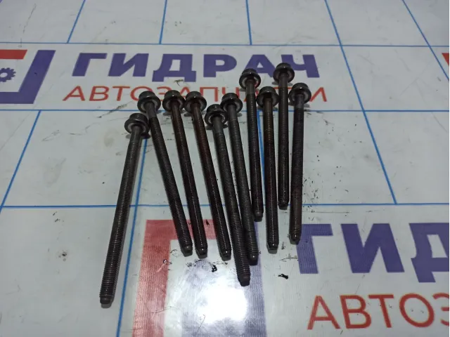 Болты ГБЦ Skoda Octavia (A7) WHT004926