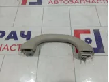 Ручка внутренняя потолочная Skoda Octavia (A5) 6Y0857607MY20