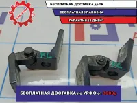 Петли двери передней левой Skoda Octavia (A5) .