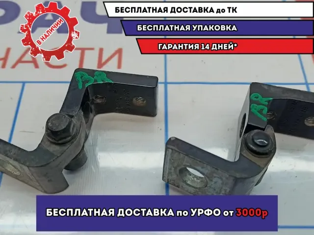 Петли двери задней правой Skoda Octavia (A5) .