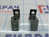 Петли двери задней правой Skoda Octavia (A5) .