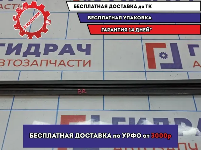 Уплотнитель стекла двери задней правой Skoda Octavia (A5) 1Z5839480C. Внутренний.