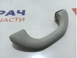 Ручка внутренняя потолочная Skoda Octavia (A5) .
