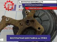 Кулак поворотный задний правый Skoda Octavia (A5) 1K0505436AE.