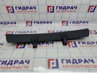 Обшивка багажника на заднюю панель Skoda Rapid (NH3) 5JA863459B9B9