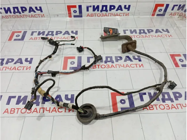 Проводка двери передней левой Skoda Rapid (NH3) 5JH971120S