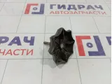 Болт крепления запасного колеса Skoda Rapid (NH3) 1J0803899AC