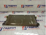 Радиатор основной Skoda Rapid (NH3) 6R0121253