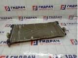 Радиатор основной Skoda Rapid (NH3) 6R0121253