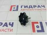Крепление (болт) запасного колеса Skoda Rapid 1J0803899AC