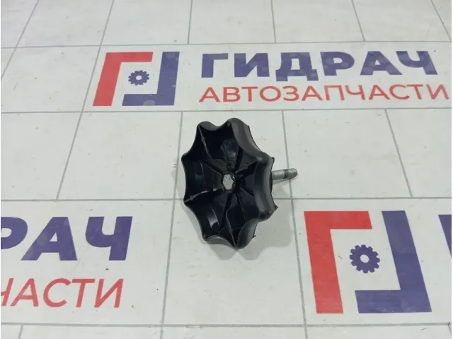Крепление (болт) запасного колеса Skoda Rapid 1J0803899AC