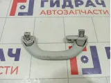 Ручка потолочная Skoda Rapid 5L6857607NY20