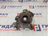 Кулак поворотный передний левый Skoda Rapid 6Q0407255S